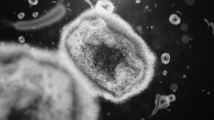 Virus Baru Ditemukan di China, Dapat Merusak Otak